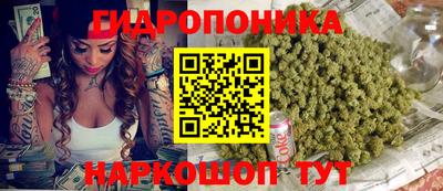 ECSTASY Ливны