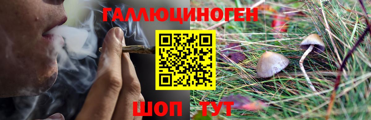 Галлюциногенные грибы MAGIC MUSHROOMS Казань