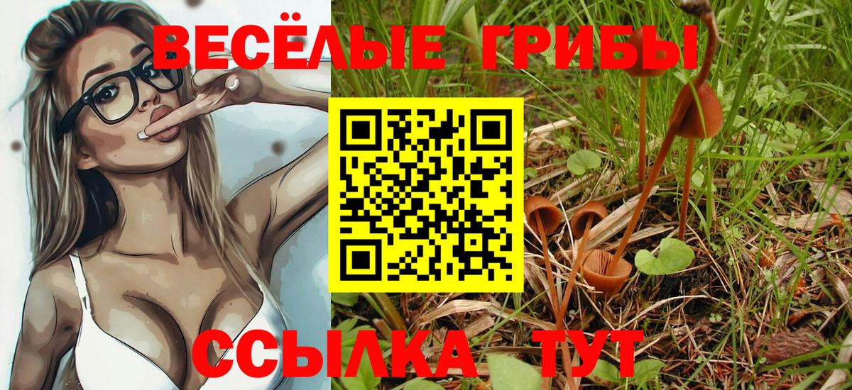 Галлюциногенные грибы Magic Shrooms  Галлюциногенные грибы ЛСД  Казань  Вход с VPN 